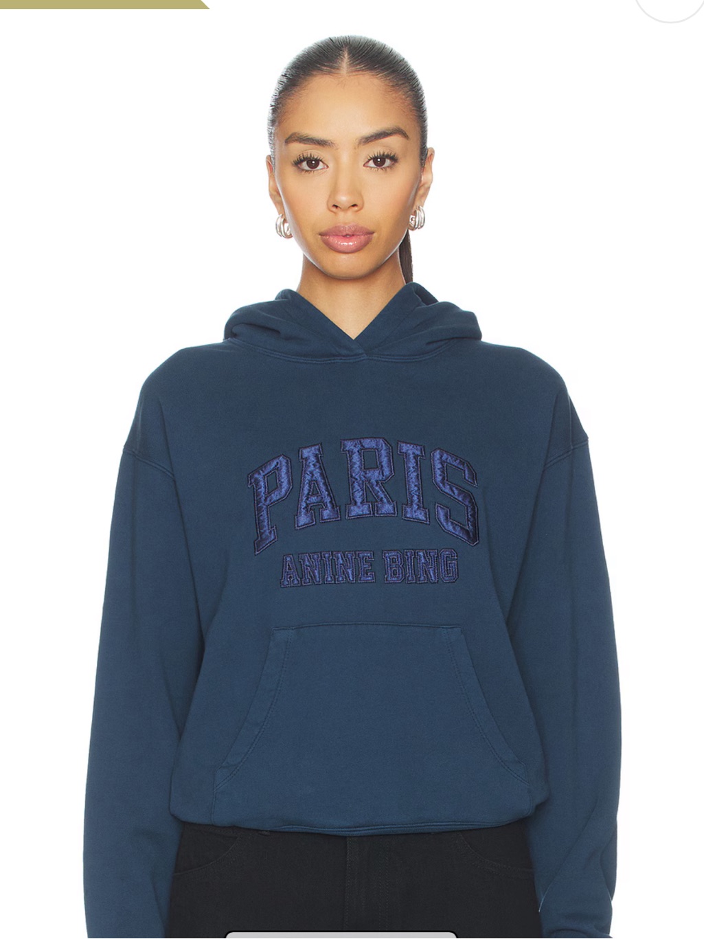 Anine Bing Paris Hoodie